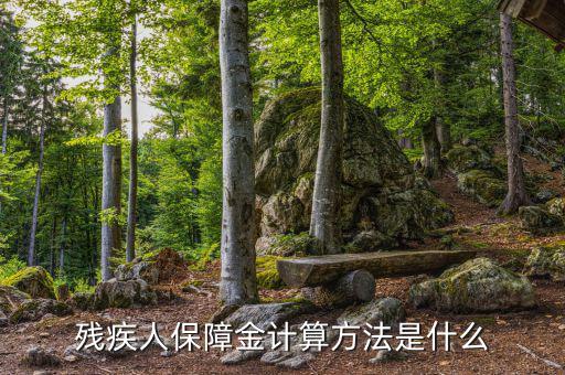 廣西殘疾人保障金如何計算，殘疾人保障金怎么計算