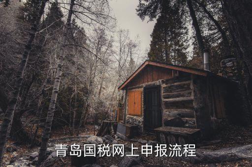 青島國(guó)地稅如何申報(bào)，國(guó)稅怎么申報(bào)