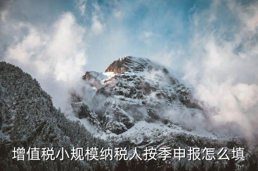 小規(guī)模納稅人如何按季申報，增值稅小規(guī)模納稅人按季申報怎么填