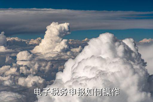 如何在電子稅務(wù)中申請(qǐng)納稅，電子稅務(wù)申報(bào)如何操作