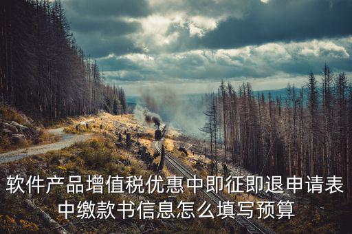 軟件產品增值稅優(yōu)惠中即征即退申請表中繳款書信息怎么填寫預算