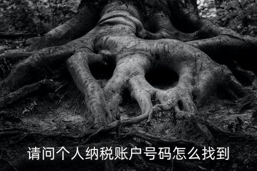 如何查詢個人稅務(wù)編號查詢，如何查看個人名下的稅務(wù)證