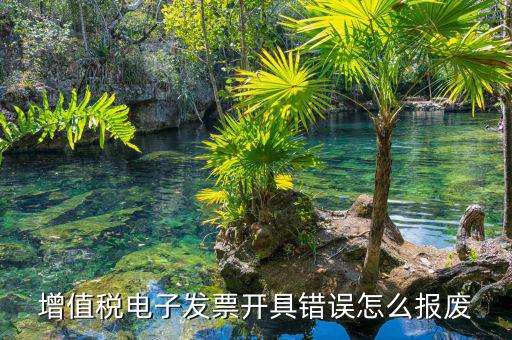 增值稅電子發(fā)票如何作廢，增值稅發(fā)票稅控開(kāi)票軟件怎么作廢已開(kāi)發(fā)票