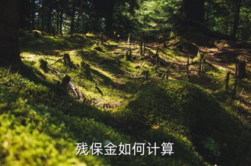 2016年杭州殘疾人保障金如何計(jì)算方法，殘疾人保障金計(jì)算方式