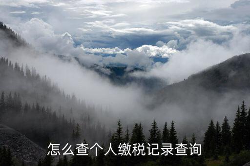 陜西省如何查詢個(gè)稅繳納記錄，怎樣查看個(gè)稅和附加稅是否已交