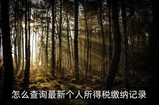 怎么查詢(xún)最新個(gè)人所得稅繳納記錄