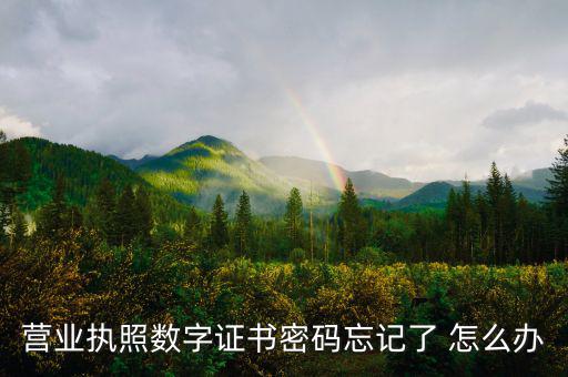 如何找回?cái)?shù)字證書密碼，營業(yè)執(zhí)照數(shù)字證書密碼忘記了 怎么辦