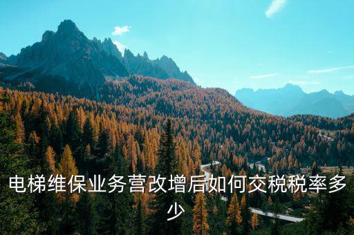 維保電梯如何納稅，麻煩問(wèn)一下電梯維護(hù)與保養(yǎng)納什么稅稅率是多少 如果我公司銷售