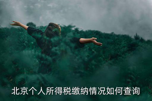 北京地稅個(gè)人如何查詢，如何查詢個(gè)人所得稅繳稅記錄