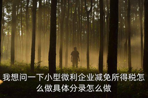小微企業(yè)所得稅如何減免，我想問一下小型微利企業(yè)減免所得稅怎么做具體分錄怎么做