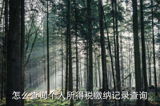 沈陽如何查個(gè)人所得稅繳費(fèi)明細(xì)，如何查詢個(gè)人所得稅申報(bào)明細(xì)情況