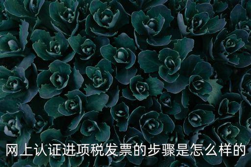 網(wǎng)上認(rèn)證進(jìn)項稅發(fā)票的步驟是怎么樣的