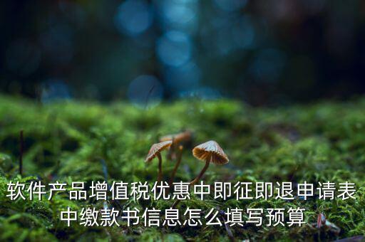即征即退的退稅申請表如何填寫，軟件產(chǎn)品增值稅優(yōu)惠中即征即退申請表中繳款書信息怎么填寫預算