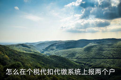 怎么在個(gè)稅代扣代繳系統(tǒng)上報(bào)兩個(gè)戶(hù)
