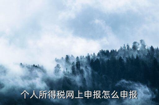 個人所得稅網上申報怎么申報