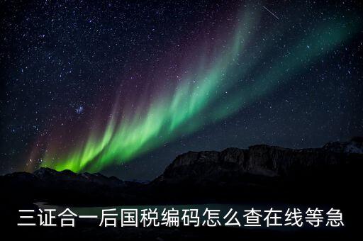 個人稅務(wù)編號如何查，請問在哪里可以查到納稅人編碼