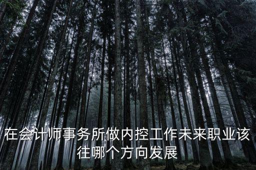 稅務內(nèi)控工作如何，如何搞好稅務所管理員內(nèi)控機制建設
