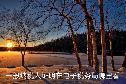 電子稅務(wù)局如何查詢稅務(wù)登記證，一般納稅人證明在電子稅務(wù)局哪里看