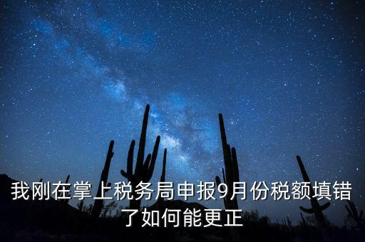 稅務如何更正申報，我剛在掌上稅務局申報9月份稅額填錯了如何能更正