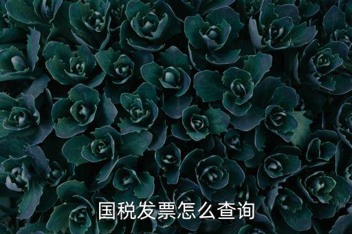 深圳市國稅局郵寄發(fā)票如何查詢，國稅發(fā)票怎么查詢