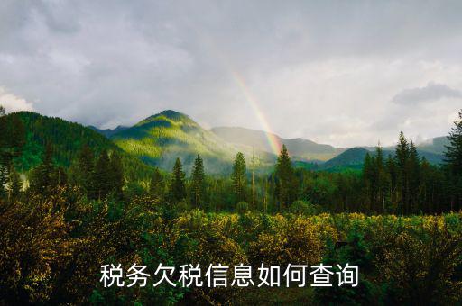 稅務(wù)欠稅信息如何查詢(xún)
