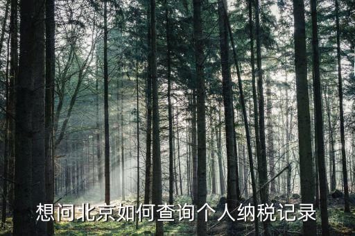想問(wèn)北京如何查詢(xún)個(gè)人納稅記錄