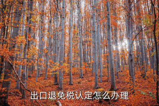 企業(yè)出口免退稅如何辦理，外貿(mào)公司出口免稅產(chǎn)品在出口退稅系統(tǒng)里面該如何辦理免稅申報