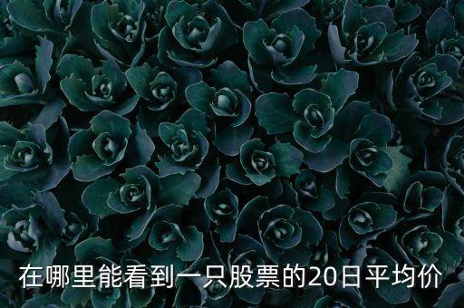 在哪里能看到一只股票的20日平均價(jià)