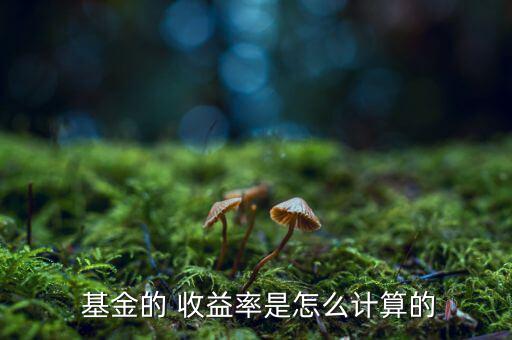  基金的 收益率是怎么計算的