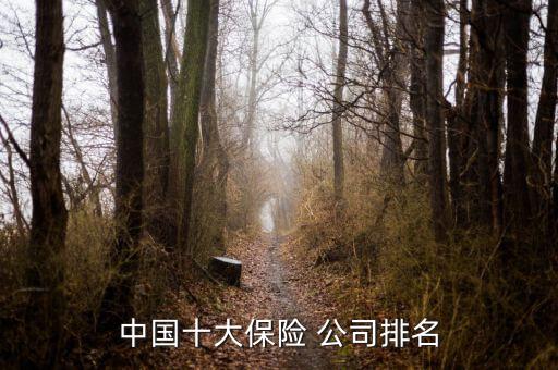 中國十大保險(xiǎn) 公司排名
