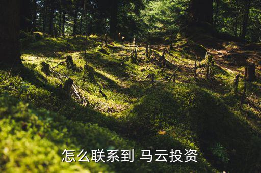 怎么像馬云貸款,沒有馬云時代，只有錢花時代怎么找投資人?