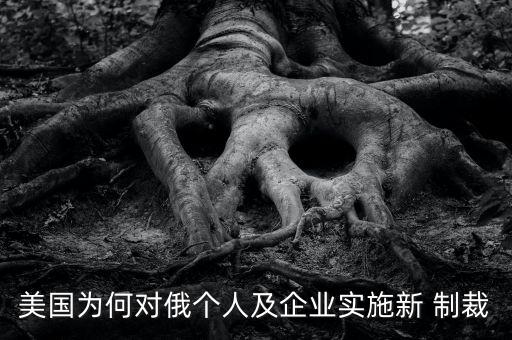美國為何對俄個(gè)人及企業(yè)實(shí)施新 制裁