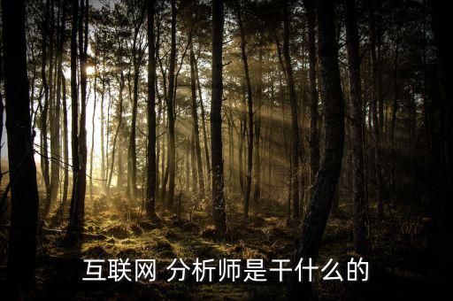 賣方分析師是怎么干的,互聯網分析師由專業(yè)人士轉行當分析員