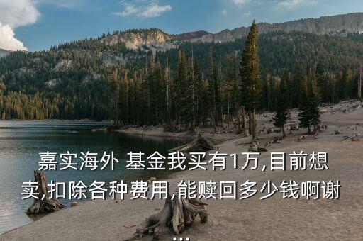 購買嘉實基金怎么取現,基金投資要點（一）