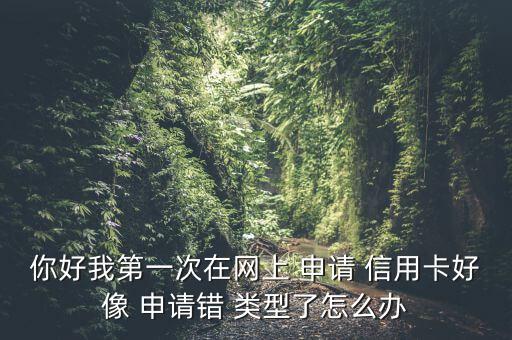你好我第一次在網(wǎng)上 申請 信用卡好像 申請錯(cuò) 類型了怎么辦