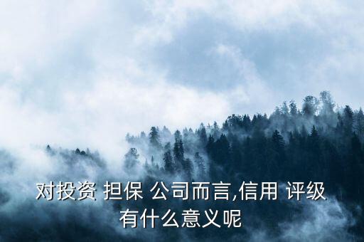 擔(dān)保公司怎么評(píng)級(jí),信用評(píng)級(jí)從何而來?