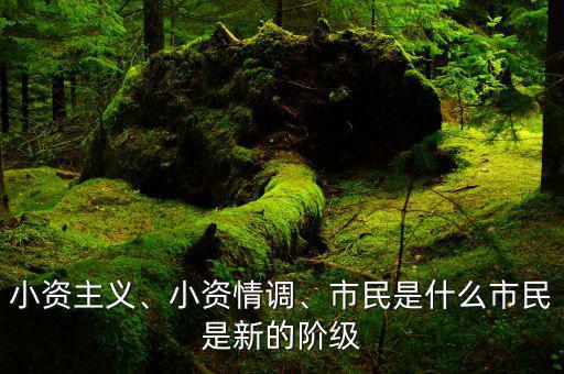 小資主義、小資情調(diào)、市民是什么市民是新的階級(jí)