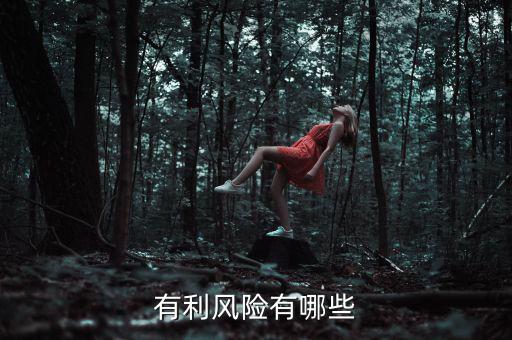 有利風(fēng)險(xiǎn)有哪些