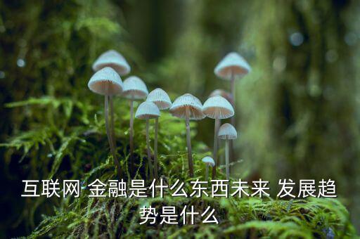 怎么網金融行業(yè)發(fā)展,互聯網金融專業(yè)畢業(yè)生就業(yè)方向及前景: