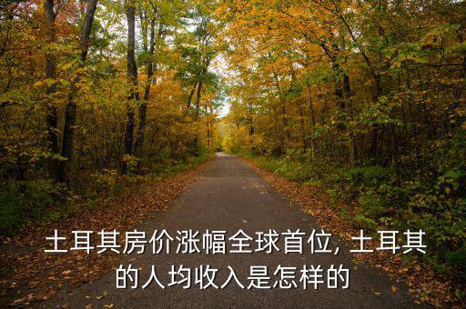  土耳其房?jī)r(jià)漲幅全球首位, 土耳其的人均收入是怎樣的