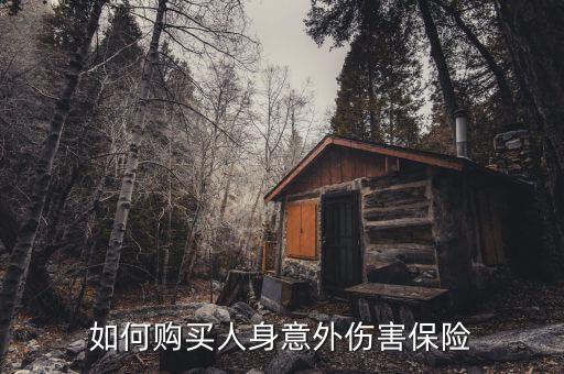 人生保險(xiǎn)怎么買(mǎi),保險(xiǎn)公司推出新服務(wù)投保人身意外