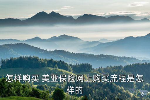 美亞保險怎么報險,春運(yùn)如何購買保險?可在線投保、索賠