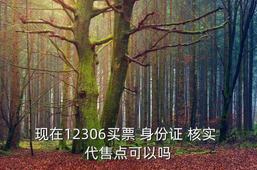 現(xiàn)在12306買票 身份證 核實(shí) 代售點(diǎn)可以嗎