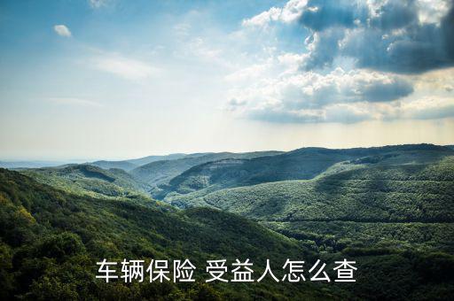 車(chē)輛保險(xiǎn) 受益人怎么查