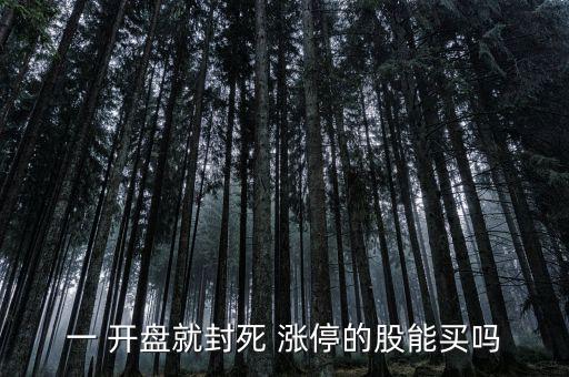 一 開(kāi)盤(pán)就封死 漲停的股能買(mǎi)嗎