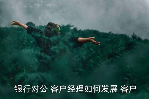  銀行對(duì)公 客戶(hù)經(jīng)理如何發(fā)展 客戶(hù)
