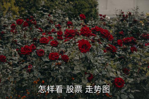 怎么看股票走勢圖圖解,k線圖一般稱為主圖，包含k線和均線