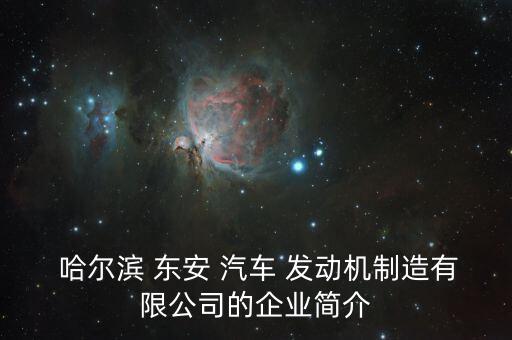  哈爾濱 東安 汽車 發(fā)動機(jī)制造有限公司的企業(yè)簡介