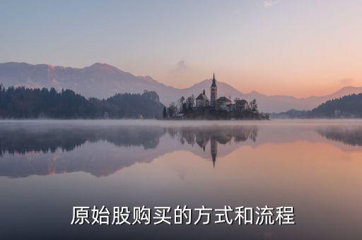  原始股購(gòu)買的方式和流程