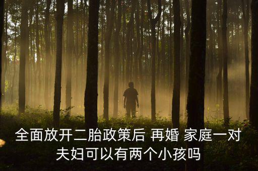 全面放開二胎政策后 再婚 家庭一對(duì)夫婦可以有兩個(gè)小孩嗎